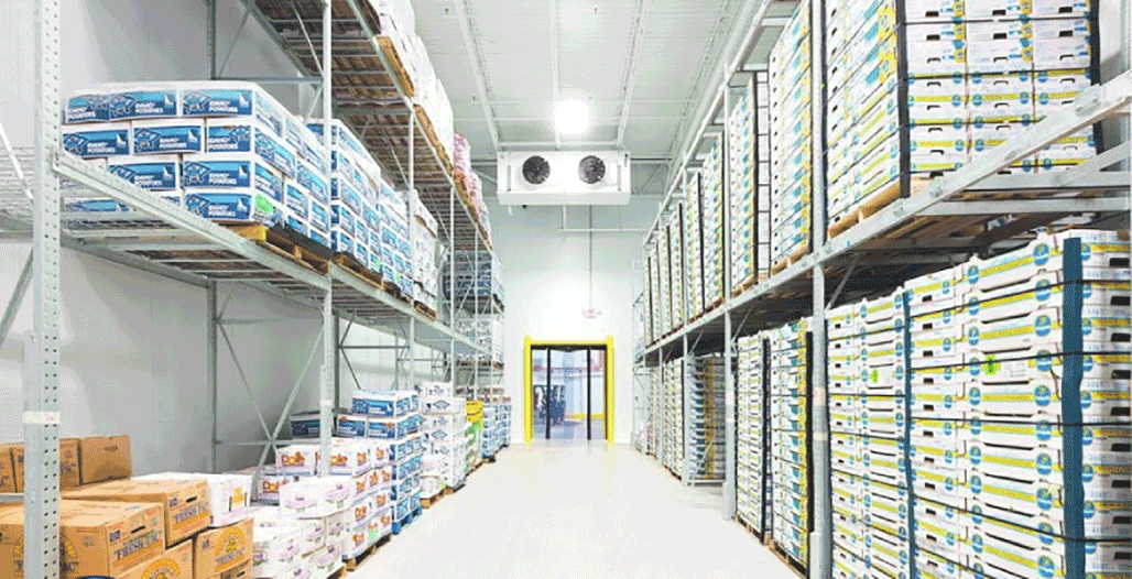 Cold Storage Room for Preserving Food, Vegetables, and Fruits