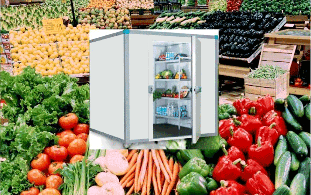 Mini Cold Storage Room