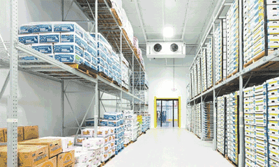 Kho lạnh bảo quản thực phẩm, rau, củ, quả