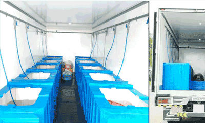 Xe lạnh chở hải sản